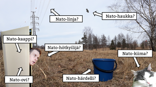 Nato-alkuisia uudissanoja. Kuva: Risto Uusikoski, Kotus.