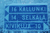 Tienviitta Sallassa. Kuva: Ulla Onkamo, Kotus.