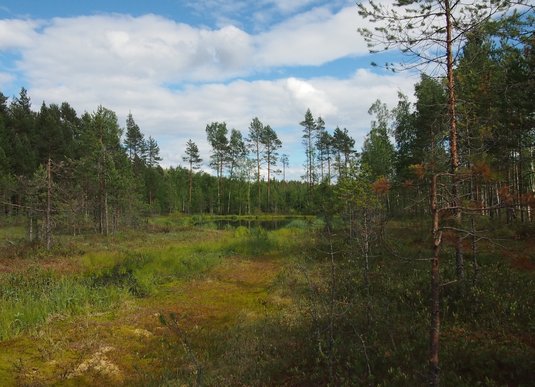 Suo. Kuva: Ilona Paajanen, Kotus.