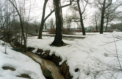 Töölönjoen uomasta on jäänyt jäljelle pieni oja, joka mutkittelee Helsinginkadun ja Vauhtitien rajaamassa puistosaarekkeessa. Kuva Janne Saarikivi 2002.