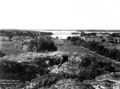 Etu-Töölöä 1908. Bergin huvila-alue on kuvattu nykyisen Apollonkatu 17:n kohdalta länteen Taivallahdelle päin. Kuva: Signe Brander 1908, Helsingin kaupunginmuseon kuva-arkisto.
