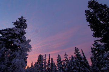 Talviaamun auringonnousu. Kuva: Vesa Heikkinen.