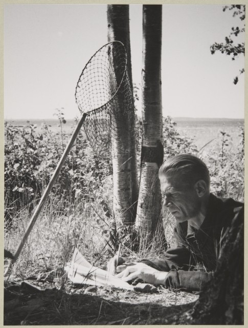 Kirjailija, kirjallisuudentutkija, filosofian tohtori Unto Kupiainen. 1950–1959. Kuva: Pekka Kyytinen. Museovirasto. CC BY 4.0.