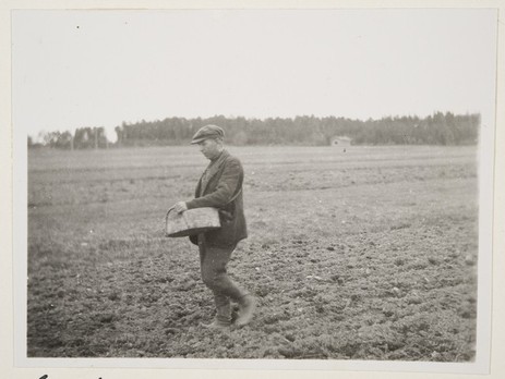 Ohran kylvössä. 1931. Kuva: Kustaa Vilkuna. Museovirasto. CC BY 4.0.