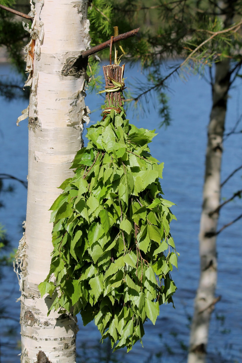 Siinä vasta vihta. Kuva: Vesa Heikkinen, Kotus.