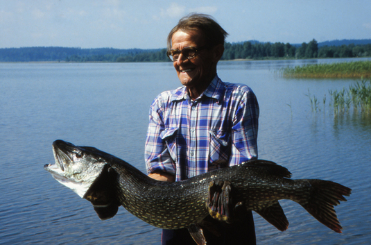 Kalastaja ja hauki 1970-luvulla Asikkalassa. Lahden kaupunginmuseo.