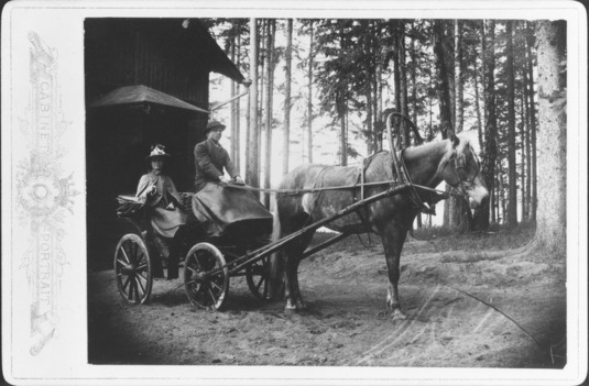 Hevosvaunut Meilahdessa 1890-luvulla. Kuva: Helsingin kaupunginmuseo. CC BY 4.0.
