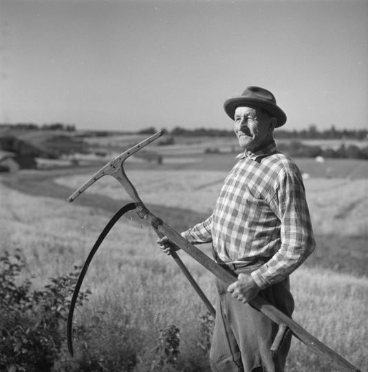 Maanviljelijä pellolla. Virrat. Kuva: Matti Poutvaara. Museovirasto. CC BY 4.0.