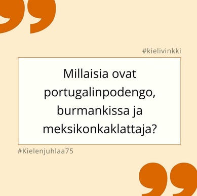 Kielen juhlaa 75 -kielivinkki Instagramissa: Millaisia ovat portugalinpodengo, burmankissa ja meksikonkaklattaja? Kuva: Henna Leskelä, Kotus.