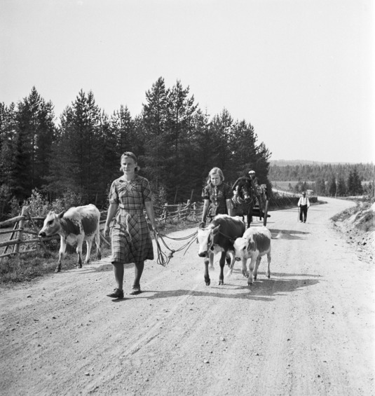 Karjalan evakkoja 1940-luvulla. Kuva: Pekka Kyytinen. Museovirasto. CC BY 4.0.