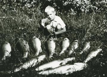 Kuhasaalista Lappalanjärvestä. Täkysiimalla saatuja. Vierellä poseeraava poika. Valkeala, 1950-luku. Kuva: Suomen Metsästysmuseo. CC BY-NC-ND 4.0.