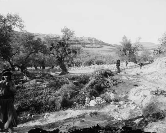 Näkymä Samariasta noin 1898 - 1914. Rajattu. Kuva: Matson Collection. Wikimedia Commons.