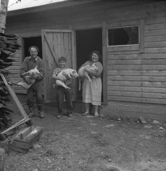 Janatuisen perhe poseeraamassa yhdessä porsaiden kanssa. Espoo, 1950 - 1955. Kuva: Espoon kaupunginmuseo. CC BY-ND 4.0.