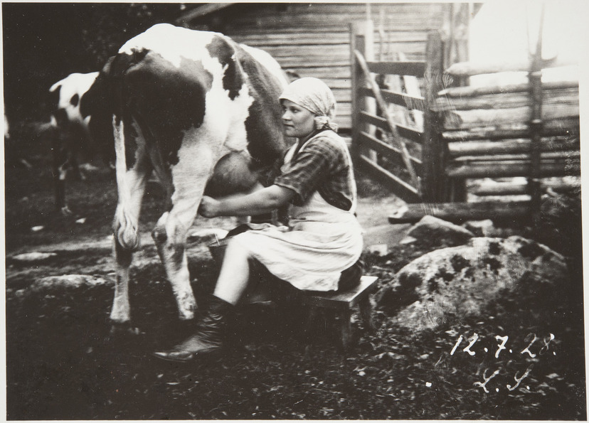 Lypsy Jussilassa. Tammela, 12.7.1928. Kuva: Laina Syrjänen. Museovirasto. CC BY 4.0.