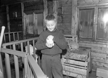 Poika ja kani. 1950-luku. Kuva: Erkki Voutilainen. Museovirasto. CC BY 4.0.