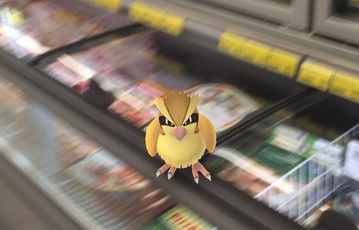 Pidgey Pokemon eli lisättyä todellisuutta lähikaupassa. Kuva: Aku Heikkinen.