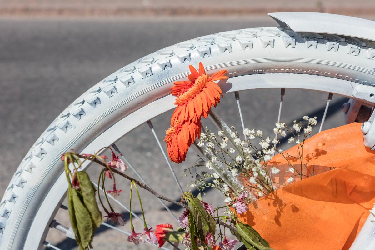 Valkoiseksi maalatun pyörän rengas osittain kuvassa. Oransseja kukkia nojaa pyörää vasten.