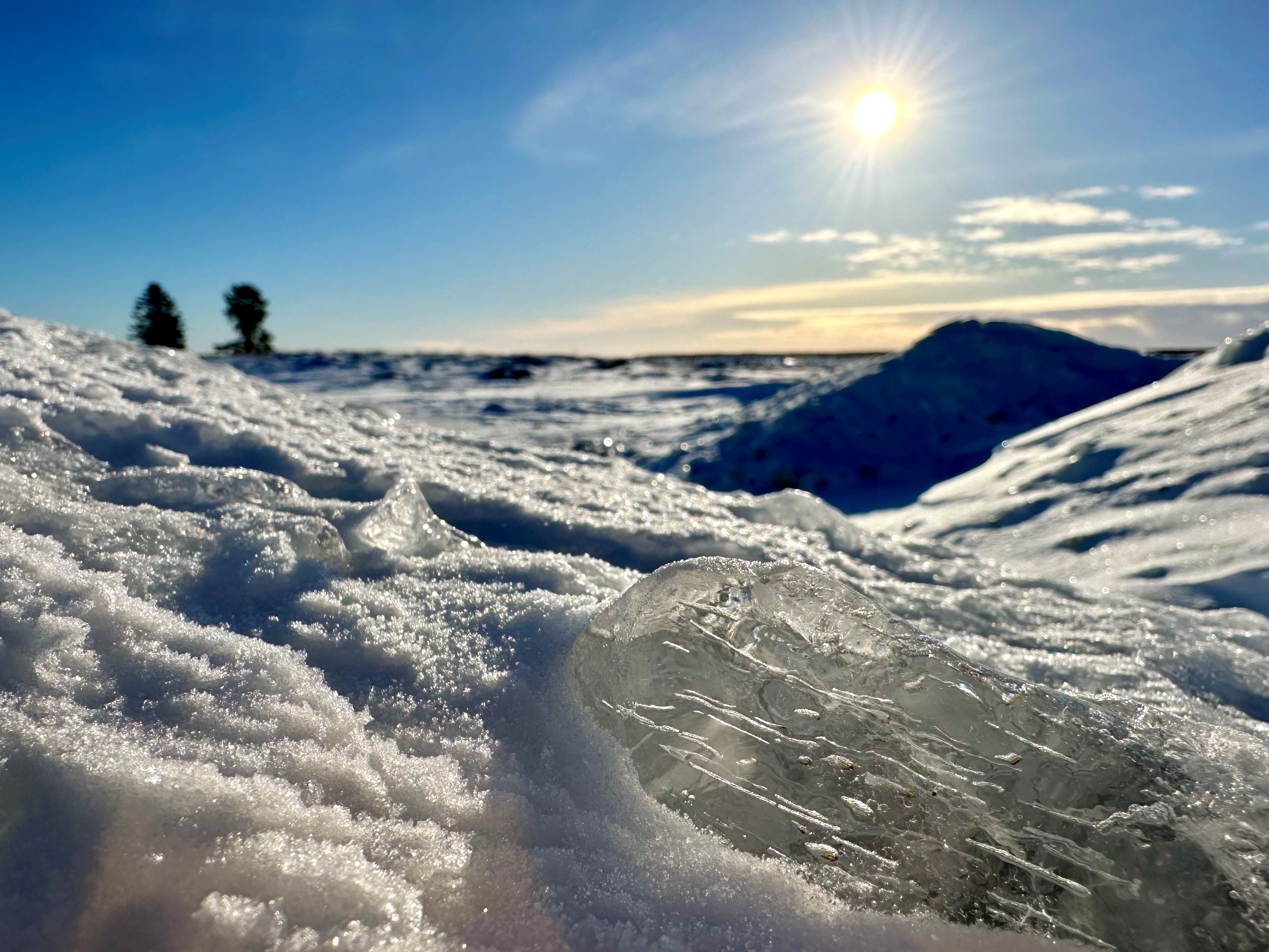 Havsis och sol