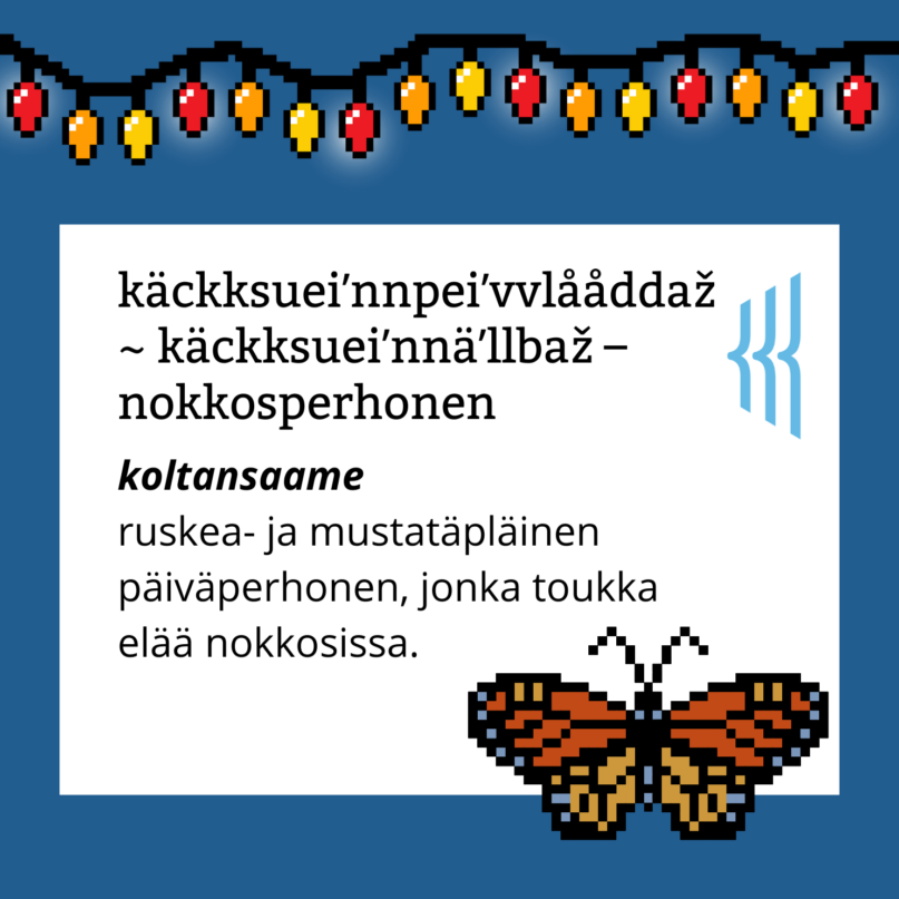 Käckksueiʹnnpeiʹvvlååddaž ~ käckksueiʹnnäʹllbaž – nokkosperhonen (koltansaame):
ruskea- ja mustatäpläinen päiväperhonen, jonka toukka elää nokkosissa.