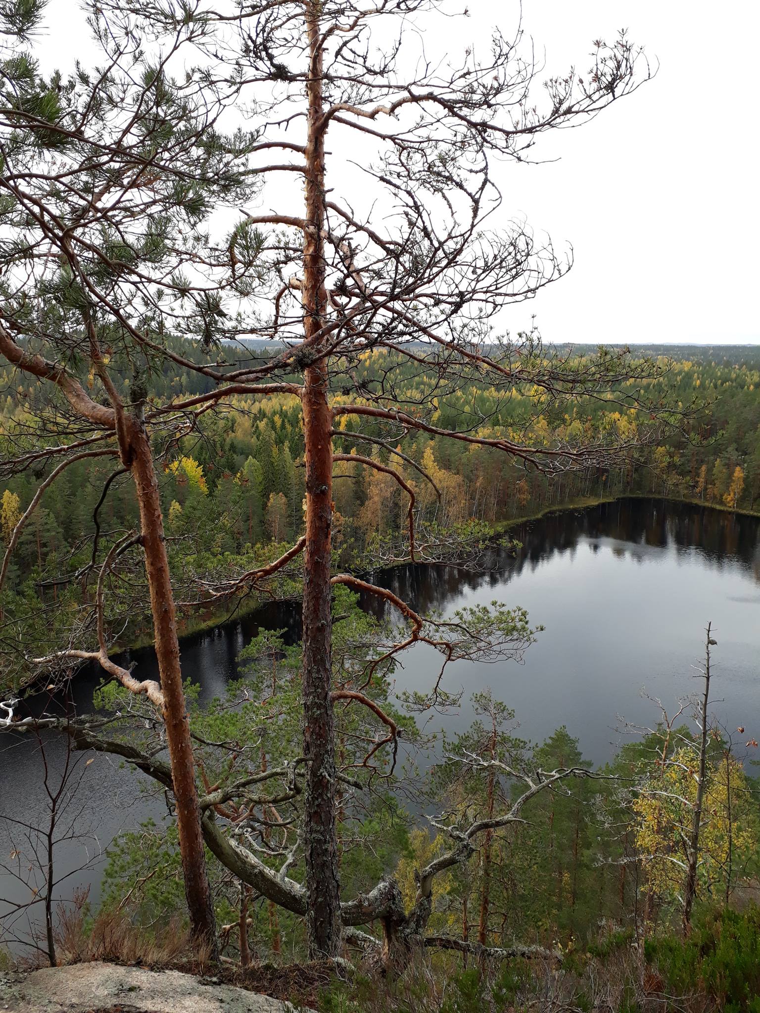 Näkymä Repoveden Olhavanvuorelta Olhavanlammelle. Kuva: Tiina Manni-Lindqvist, Kotus.