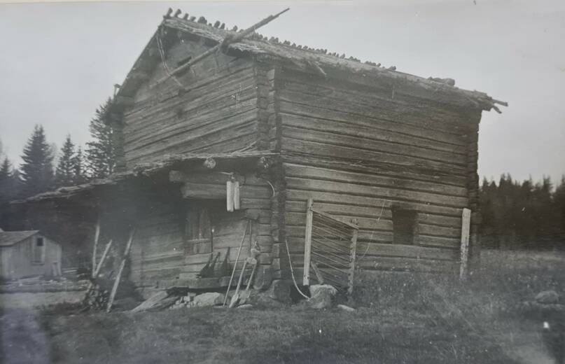 Anttilan vanha tontturiihi Kyrön Joenkulmalla vuonna 1936. Kuva: Ilmari Kohtamäki. Kotuksen arkisto.