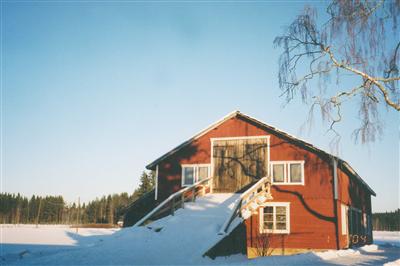 Mäenpään navetta. Kuva: Suomen maatalousmuseo Sarka.