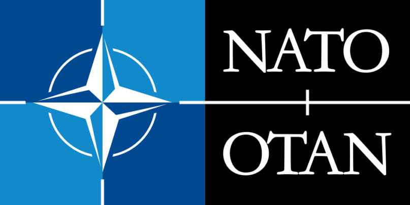 Naton logo.