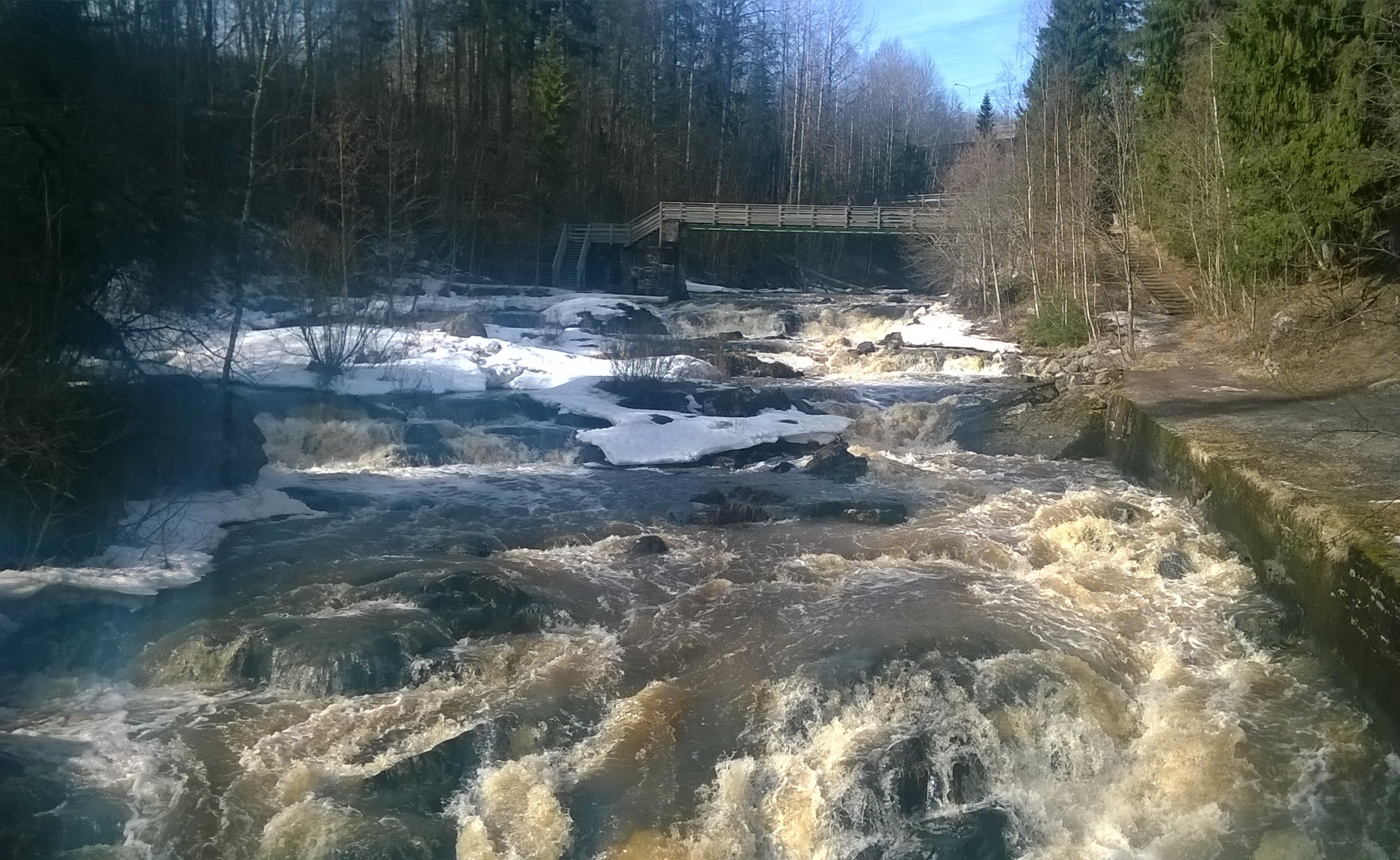 Kuohuva koski. Kuva: Tiina Manni-Lindqvist, Kotus.