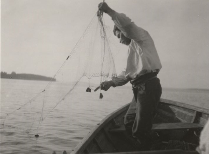 Hermanni Joutsimies laskee kiiskiverkkoa (Koivisto v. 1930). Kuva: Jussi Turunen. Suomen murteiden sana-arkisto.