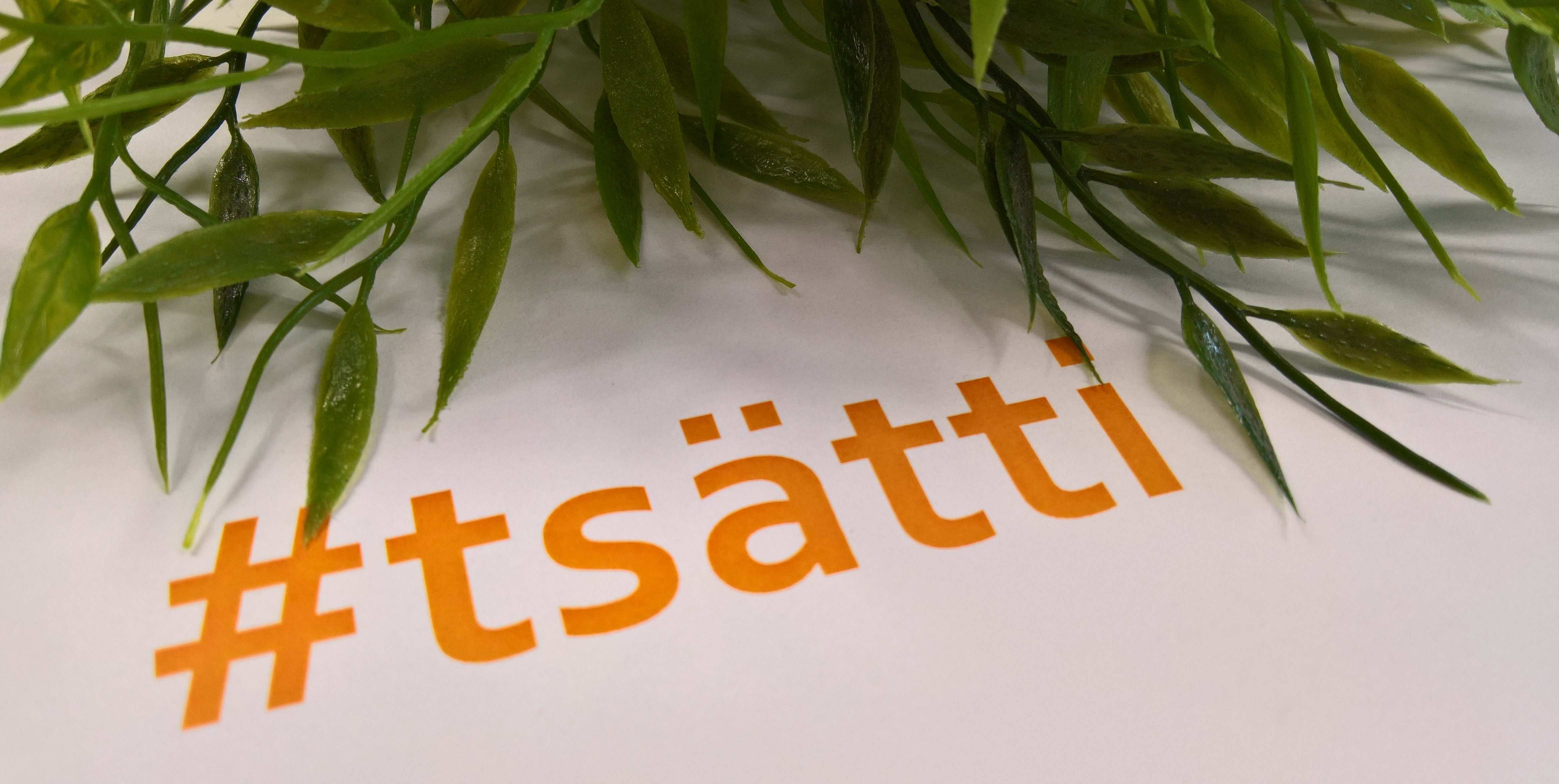 #tsätti. Kuva: Suvi Syrjänen, Kotus.