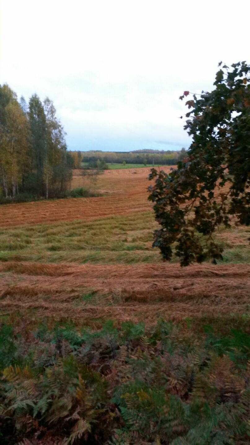 Notko Luumäellä. Kuva: Annikki Hyytiäinen.