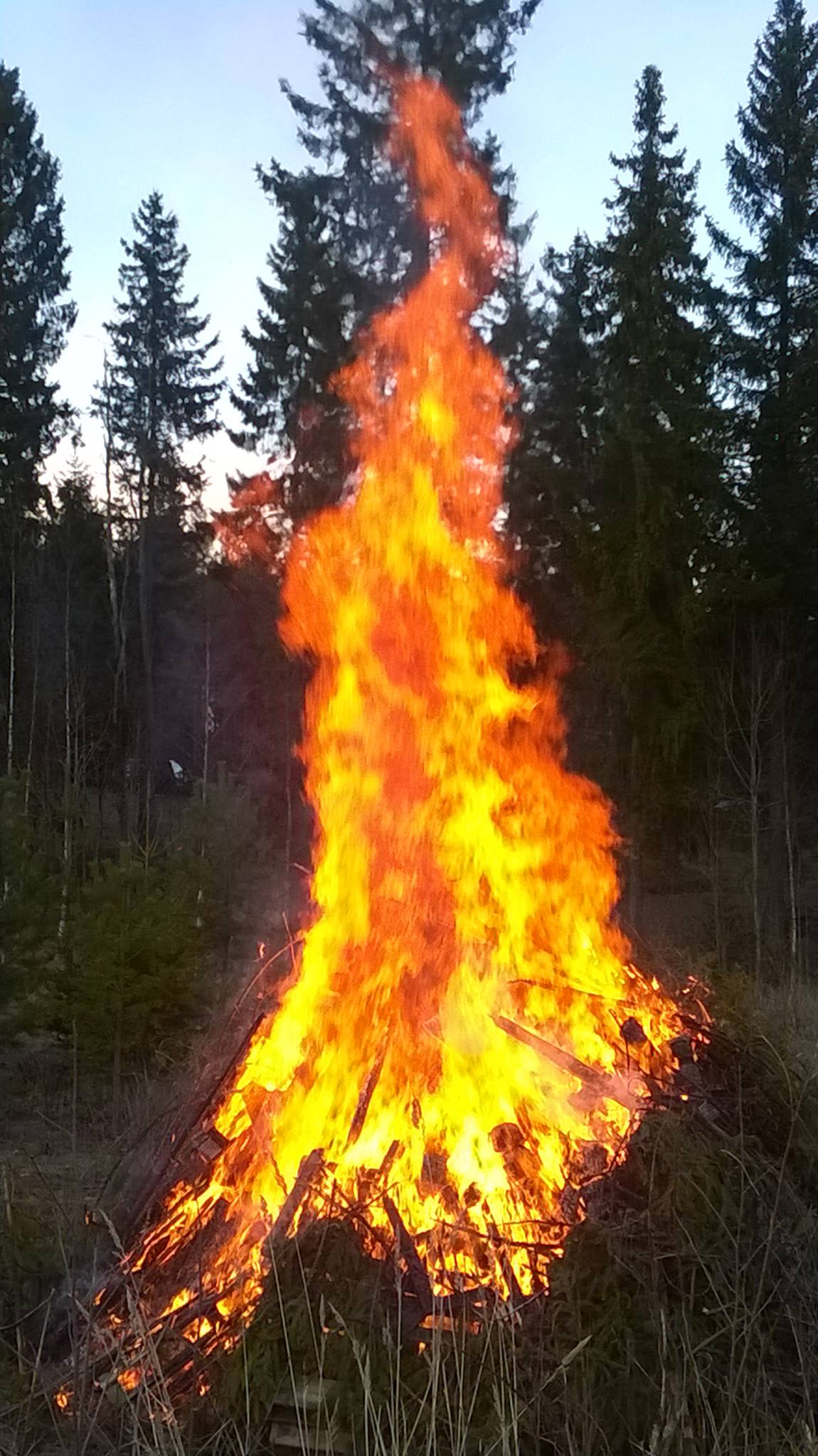 Hyvinkään seudun pohjalaisten pääsiäisvalkea 2017. Kuva: Tiina Manni-Lindqvist, Kotus.