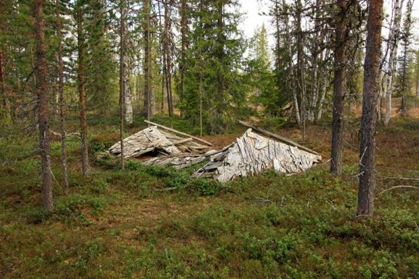 Romahtanut päreestä tehty ulkovessa vuonna 2012. Kuva: P. Häkälä. Lusto – Suomen Metsämuseo.