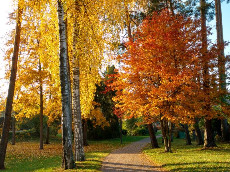 Ruskan sävyjä. Kuva: Ulla Onkamo, Kotus.