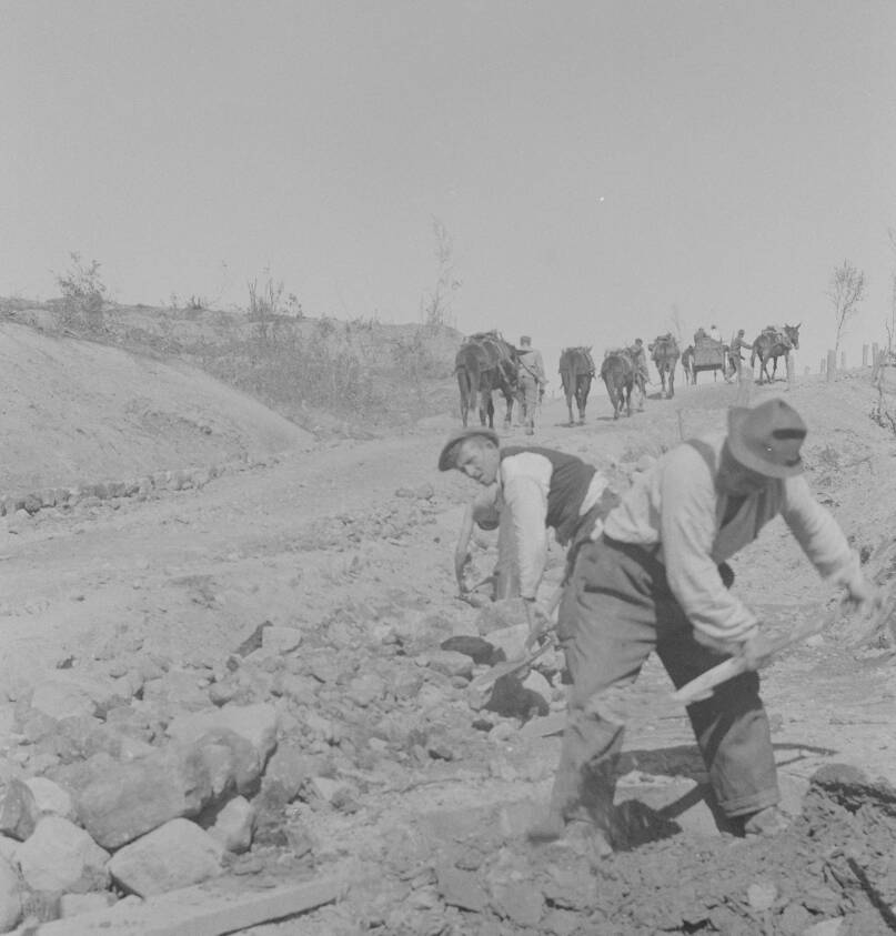 Työmiehet tohinassa. Muuleja menossa miesten ohi. Kuva: Esko Töyri, 1942. Sotamuseo.