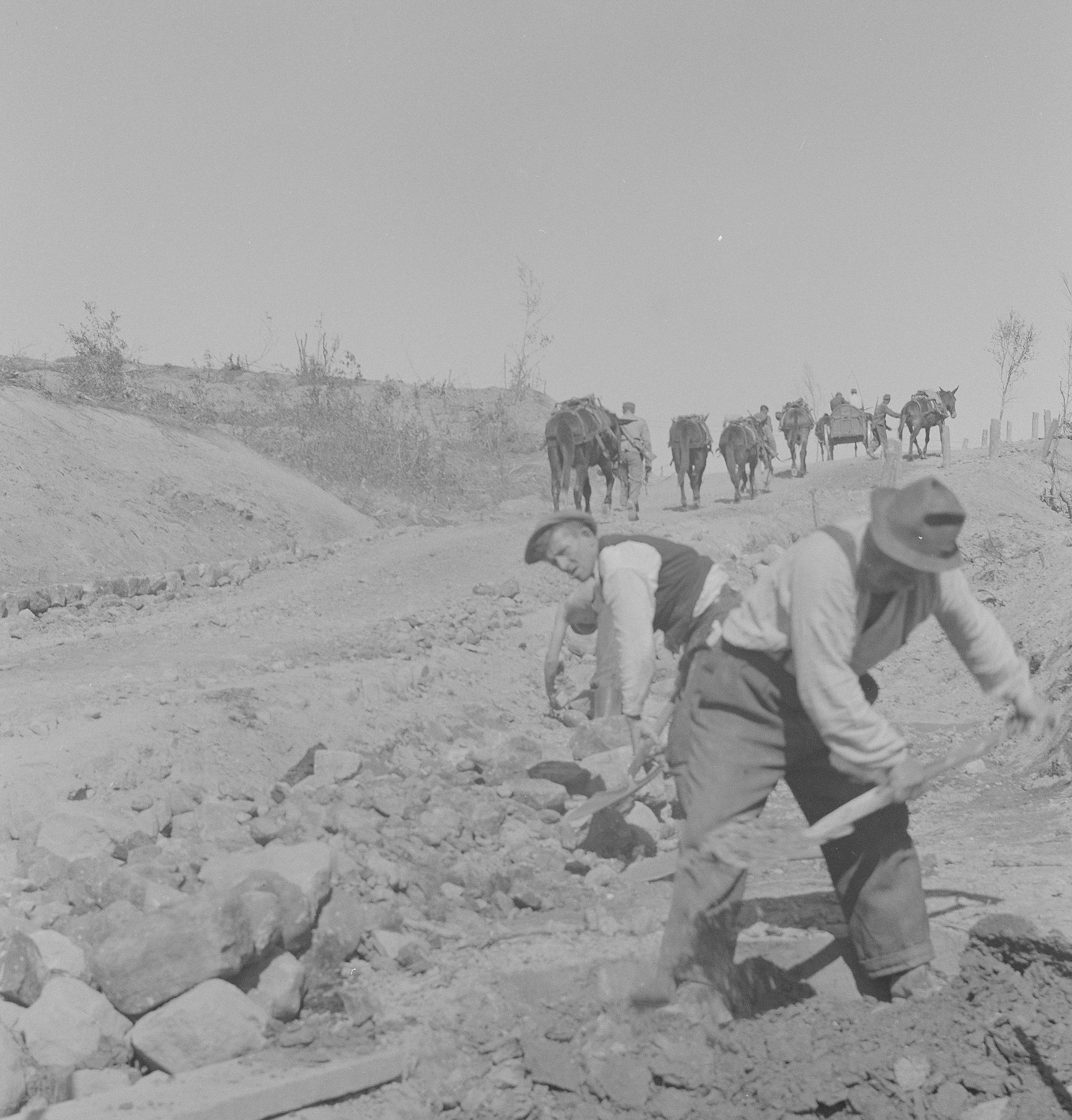 Työmiehet tohinassa. Muuleja menossa miesten ohi. Kuva: Esko Töyri, 1942. Sotamuseo.