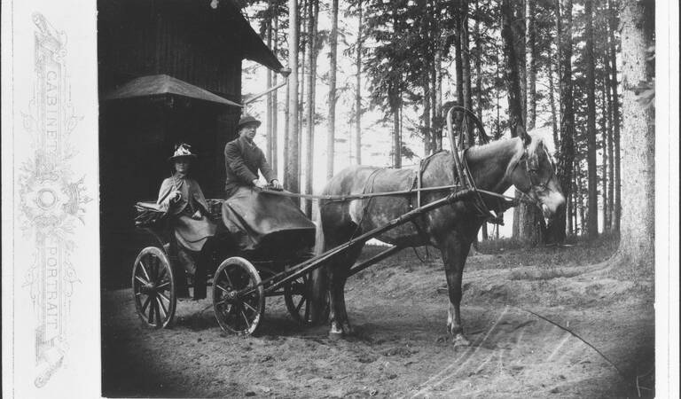 Hevosvaunut Meilahdessa 1890-luvulla. Kuva: Helsingin kaupunginmuseo. CC BY 4.0.