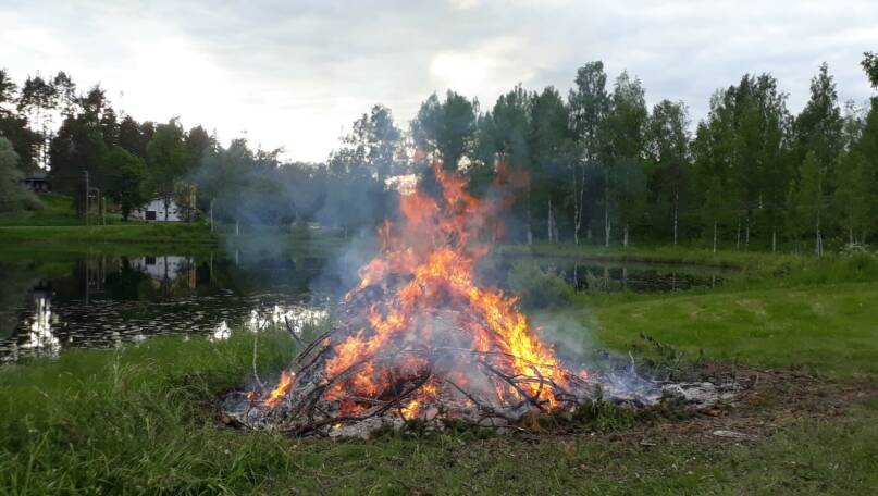 Juhannuskokko. Kuva: Petra Saarnisto.