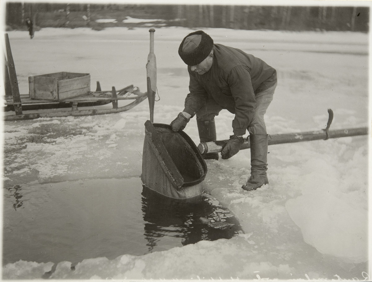 Järvimalmin nostoa Tammelassa. Kuva: Esko Aaltonen. Museovirasto. CC BY 4.0.