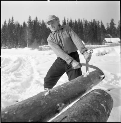 Mies nostaa tukkia tukkisaksilla. Etelä-Karjala, 1955. Kuva: Kuvapaja. Lappeenrannan museot. CC BY-NC-ND 4.0.