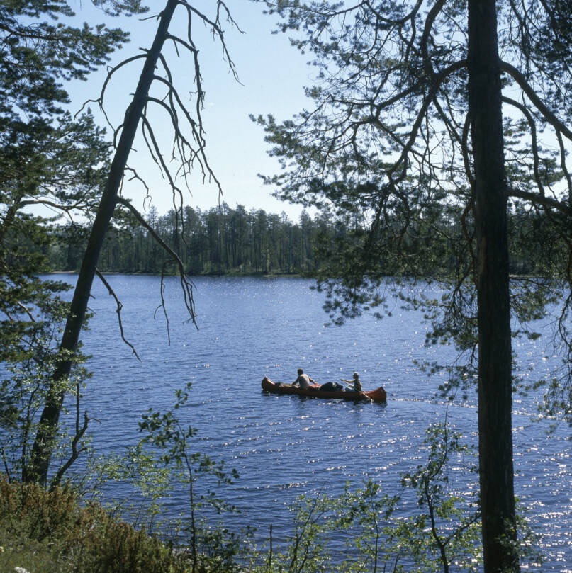 Kanootti melojineen järvimaisemassa. Suomussalmi, 1985–1986. Kuva: Teuvo Kanerva. Museovirasto. CC BY 4.0.
