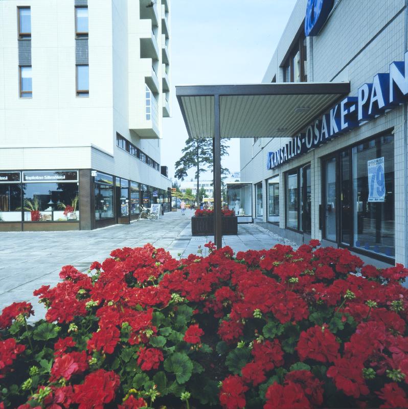 Pelargonit Tapiolan keskustassa. Espoo, 1981–1983. Kuva: Teuvo Kanerva. Espoon kaupunginmuseo. CC BY-ND 4.0.
