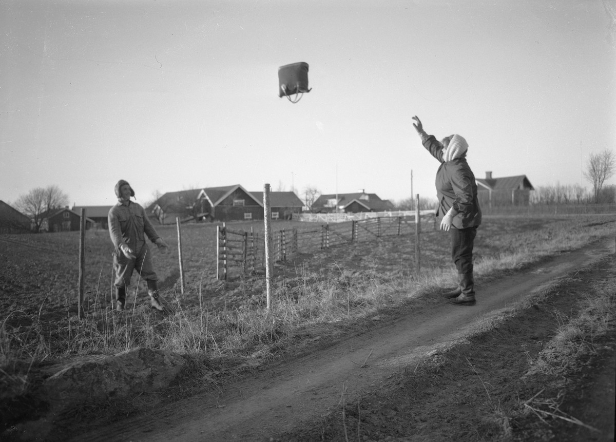 Suu- ja sorkkatautiepidemia Ruotsinpyhtäällä 1959. Kuva:  Erkki Voutilainen. Museovirasto. CC BY 4.0.