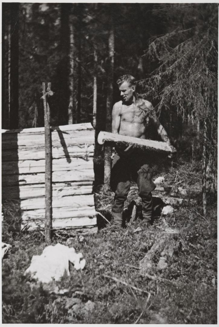 Halkomotti. Kuva: Einar Strömmer. Suomen Metsämuseo. CC BY 4.0.