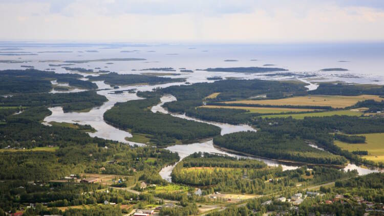 Tornionjoen suistoa.