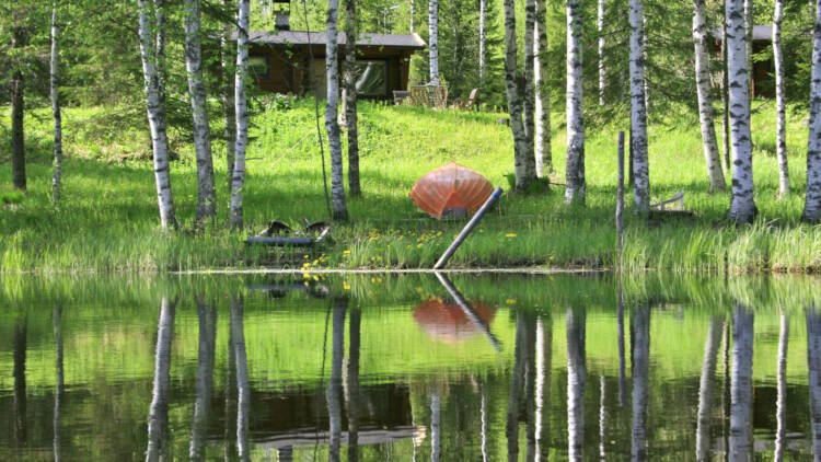 Mökkiranta kuvattuna vedestä päin, etualalla heinikkoa ja soutuvene nurin, taustalla mökki.